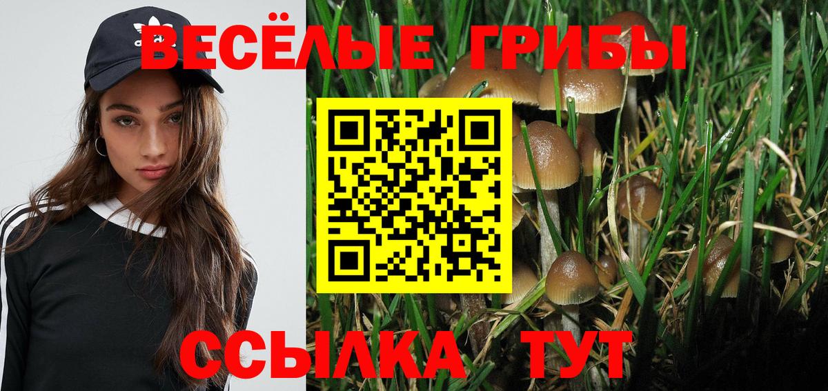 Псилоцибиновые грибы GOLDEN TEACHER Щёлково